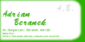 adrian beranek business card