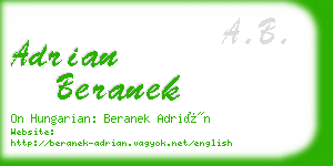 adrian beranek business card